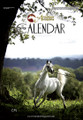 The Arabian Magazine Calendar 2013 (A4)