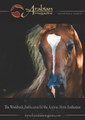 The Arabian Magazine Issue 69 - September 2012 The Aachen/South African Edition