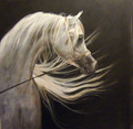 Judi Kent-Pyrah card - Beauty