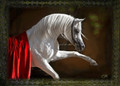 The Emma Maxwell Collection - Christmas Card 