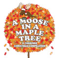 A Moose in a Maple Tree: A Canadian Christmas Compilation