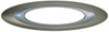 Timer Bezel, Silver, Oval, Avalon