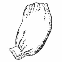 HMGSL-1-BS