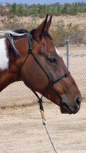 Custom Sized Soft Rope Halters