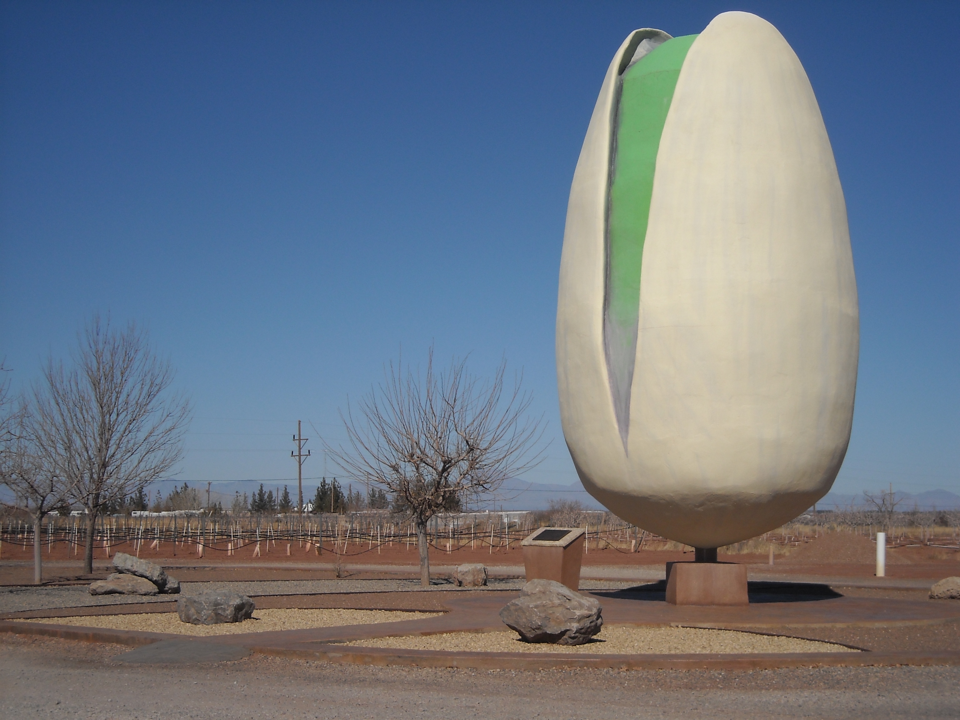PistachioLand Pistachio Tree Ranch & Arena Blanca Winery