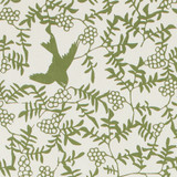 Gift Wrap - Swallow - Green on Cream