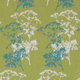 Gift Wrap - Wild Parsley - Green