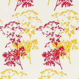Gift Wrap - Wild Parsley - Ivory