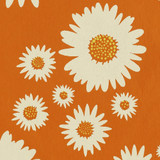  New! Gift Wrap - Daisies - Orange