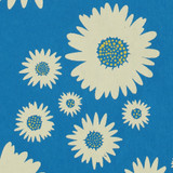  New! Gift Wrap - Daisies - Blue