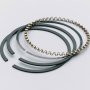 1999 - 2004 5.4L Lightning Plasma Moly Ring Set