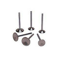 1999 - 2004 5.4L Lightning Valve Set