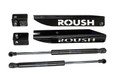 Mustang Hood Struts (2005-2013)
Part #: 421236