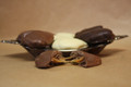 Pecan Turtles