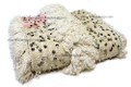 Moroccan Wedding Blanket WD001