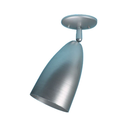 Single Bullet Ceiling Fixture