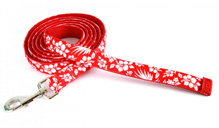 leads.jpg