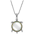 Turtle Pendant Magnifier