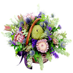 australian-flowers-gold-coast.jpg australian-flowers-gold-coast.jpg