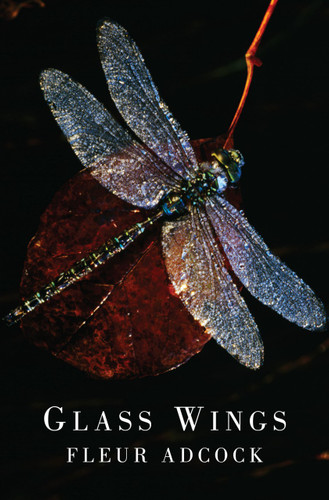 Glass Wings