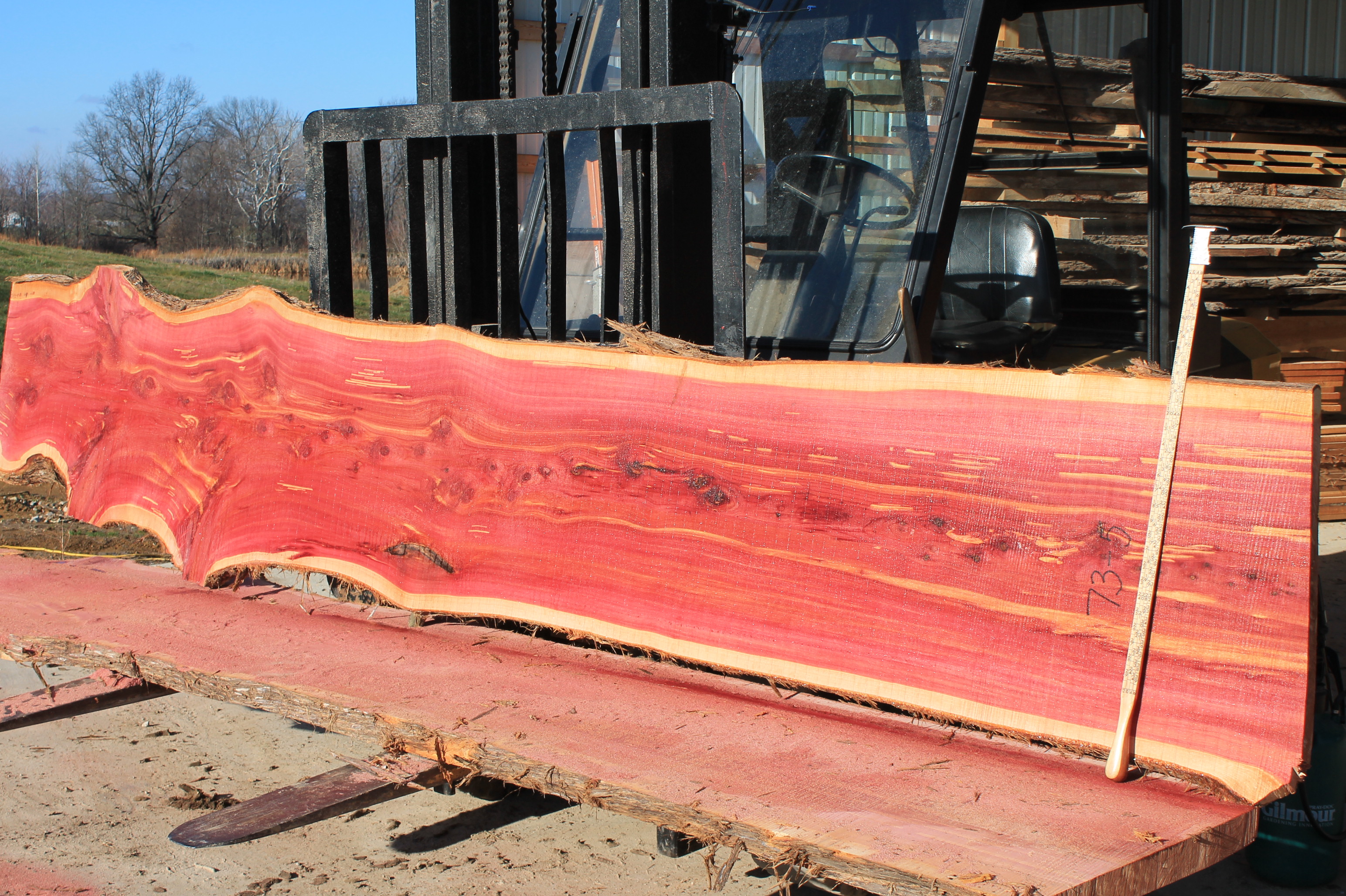 Maple Wood Slab | Live Edge | Kiln Dried