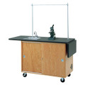 Diversified 4121K  Mobile Lab Table 48 x 24