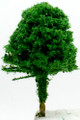 Scale Model Acacia Tree 1:400