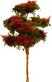 Scale Model Cherry Blossom Tree 1:300