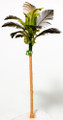  Scale Model Coconut Tree 1:100