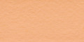 Talens Poster Color Flesh Tiint 100ml 