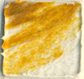 Golden Fiber Paste 236ml