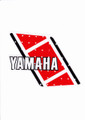 Tank Decal Set 81 YZ Euro perforated