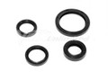 Engine Seal Kit CZ