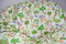 Close Up Whimsical Woods