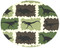 Cammo Dinosaurs