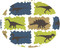 Blue Dinosaurs