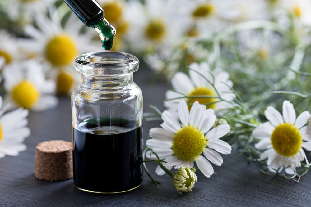 Top Four Benefits of Roman Chamomile Essential Oil