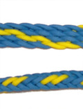 Braided Rein (Blue and Yellow)