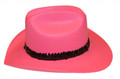 Hat and Accessory