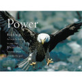The Eagle: Power