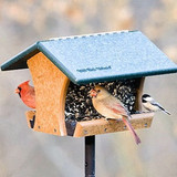 Wild Birds Unlimited 