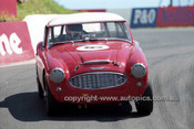 98218 - Robert Foster,  Austin Healey MK1 3000 - Donald Healey International Tribute - Bathurst 1998 - Photographer Marshall Cass