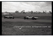 Calder 1965 - Photographer Peter D'Abbs - Code 65-PD-C-771