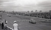 Calder 1965 - Photographer Peter D'Abbs - Code 65-PD-C24165-019