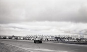 Calder 1965 - Photographer Peter D'Abbs - Code 65-PD-C24165-042