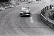 Catalina Park Katoomba - 8th November 1964 - Code 64-C81164- 32