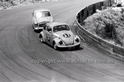 Catalina Park Katoomba - 8th November 1964 - Code 64-C81164- 70