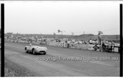 Phillip Island - 13th December  1959 - 59-PD-PI231259-045