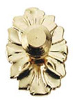 Brass Medallion Knob 2pc/pkg