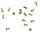 Brass Grommets 20pc/pkg